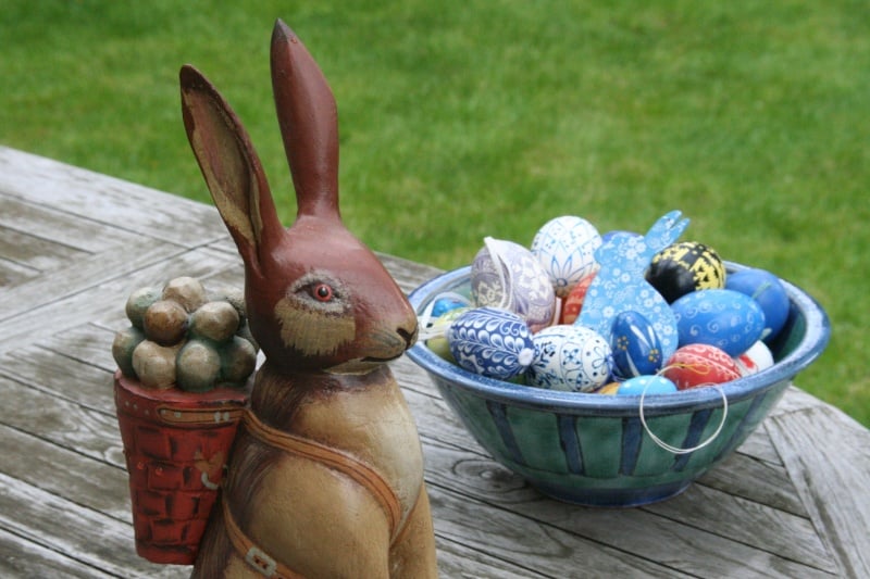 Il coniglietto di pasqua (Easter Bunny)