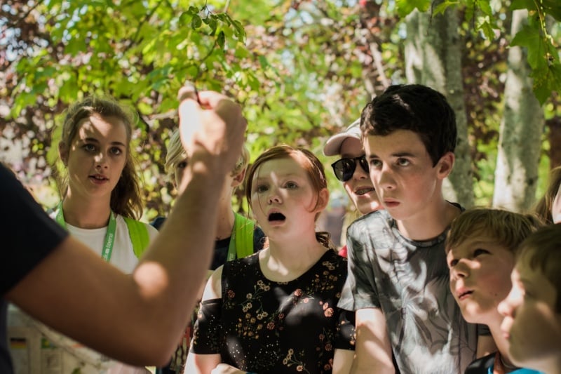 Un momento di stupore dei partecipanti dell Speak Teens Summer Camp durante una lezione di scienze naturali in lingua inglese
