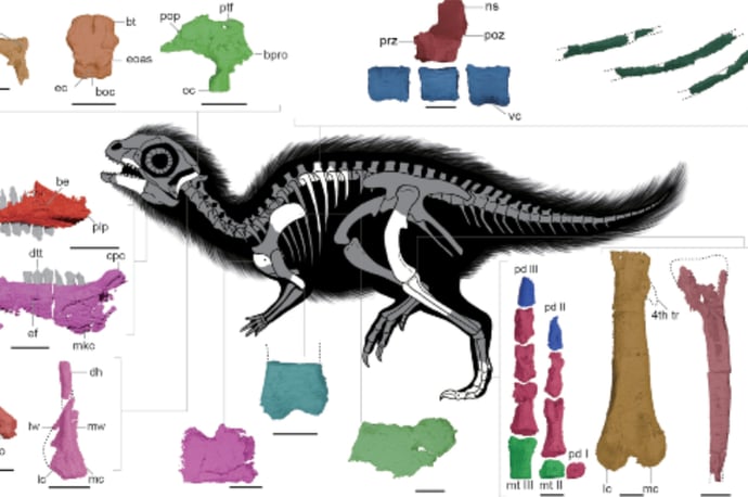 New dinosaur-1