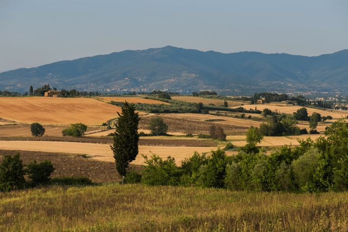 Tuscany landscape