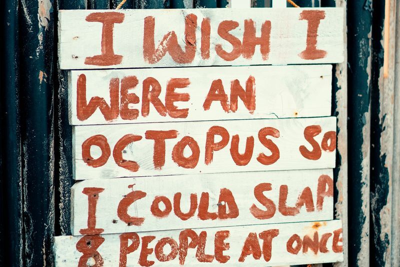 wish-octopus-sign-800x533