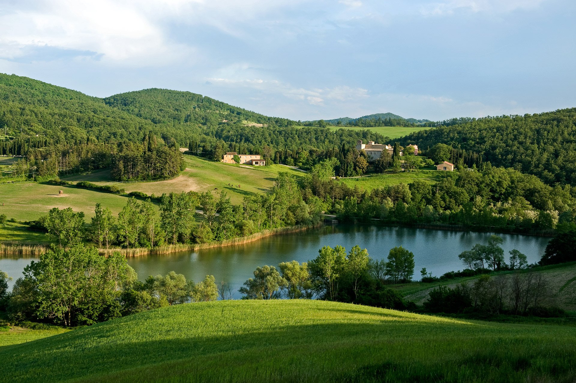 the landscape at the Abbey